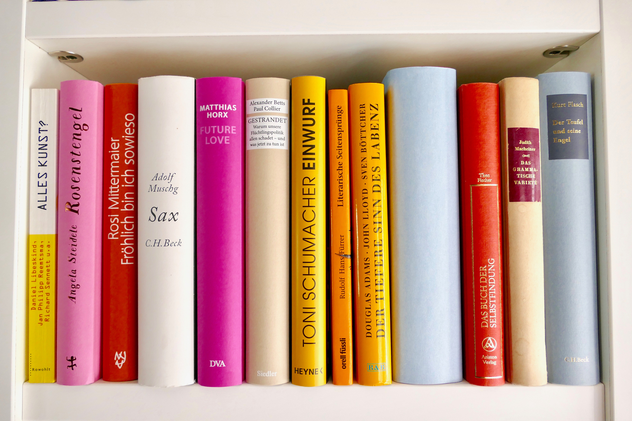 Book shelves filled with new books